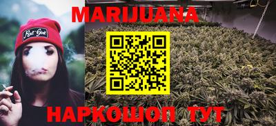 крисы Лесосибирск