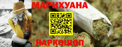 крисы Лесосибирск