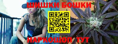 крисы Лесосибирск