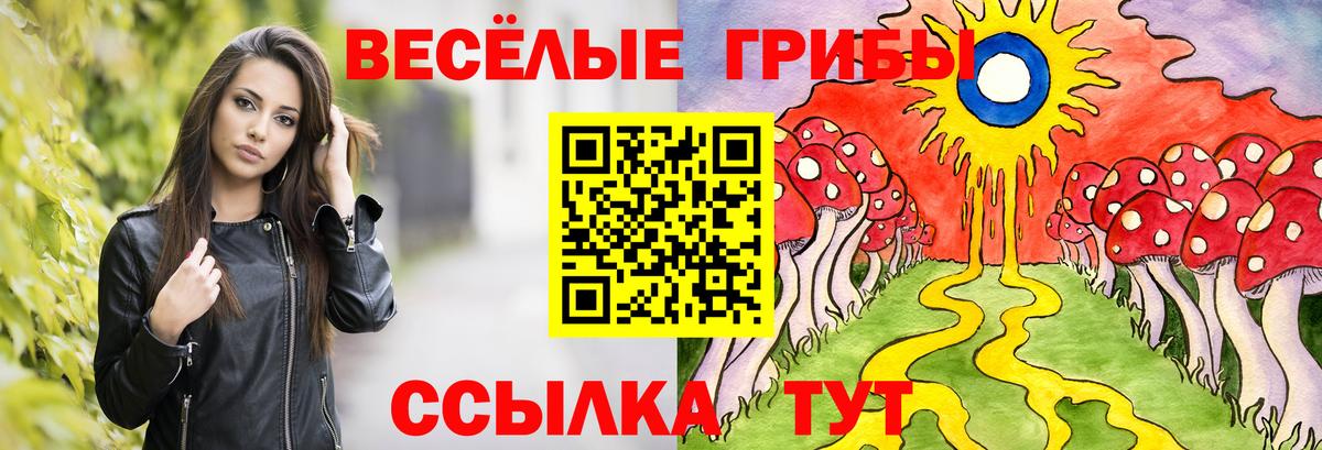 где продают   Псилоцибиновые грибы Cubensis  Вход с VPN  Ивантеевка 